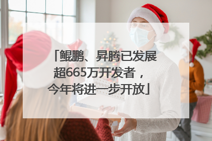 鲲鹏、昇腾已发展超665万开发者，今年将进一步开放