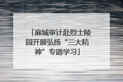 麻城审计赴烈士陵园开展弘扬“三大精神”专题学习