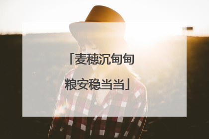 麦穗沉甸甸 粮安稳当当