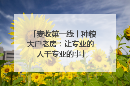 麦收第一线丨种粮大户老房：让专业的人干专业的事