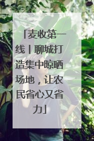 麦收第一线丨聊城打造集中晾晒场地，让农民省心又省力