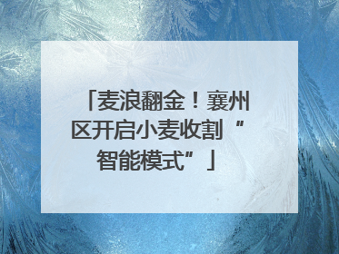 麦浪翻金！襄州区开启小麦收割“智能模式”