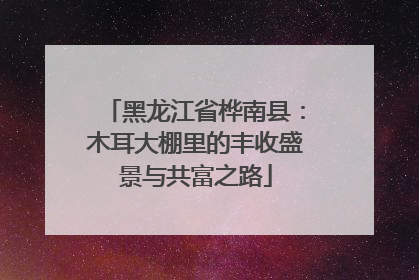黑龙江省桦南县：木耳大棚里的丰收盛景与共富之路