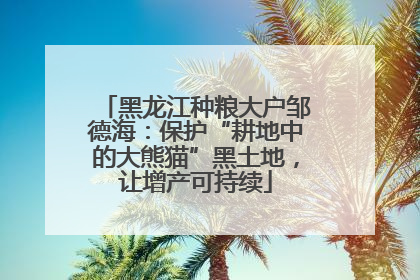 黑龙江种粮大户邹德海：保护“耕地中的大熊猫”黑土地，让增产可持续