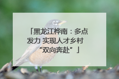 黑龙江桦南：多点发力 实现人才乡村“双向奔赴”