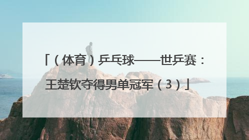 （体育）乒乓球——世乒赛：王楚钦夺得男单冠军（3）