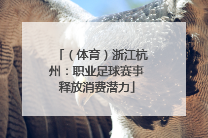 （体育）浙江杭州：职业足球赛事释放消费潜力