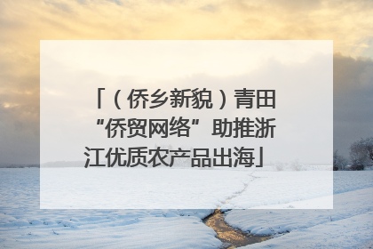 （侨乡新貌）青田“侨贸网络”助推浙江优质农产品出海