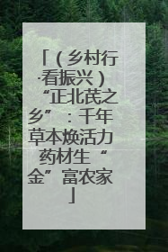 （乡村行·看振兴）“正北芪之乡”：千年草本焕活力 药材生“金”富农家