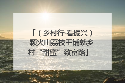 （乡村行·看振兴）一颗火山荔枝王铺就乡村“甜蜜”致富路