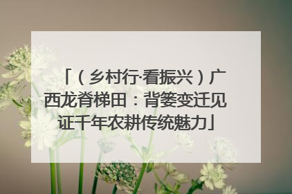 （乡村行·看振兴）广西龙脊梯田：背篓变迁见证千年农耕传统魅力
