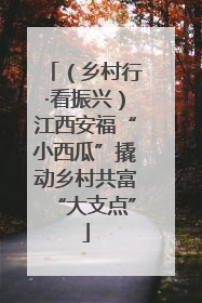 （乡村行·看振兴）江西安福“小西瓜”撬动乡村共富“大支点”