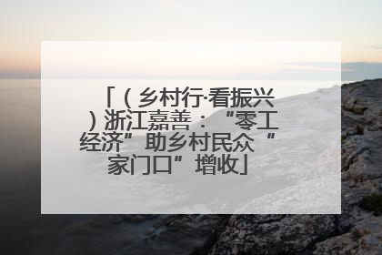 （乡村行·看振兴）浙江嘉善：“零工经济”助乡村民众“家门口”增收