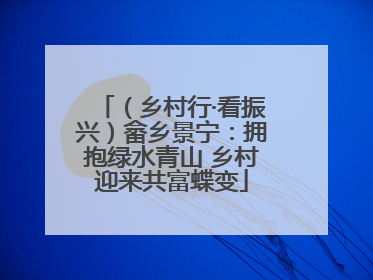 （乡村行·看振兴）畲乡景宁：拥抱绿水青山 乡村迎来共富蝶变