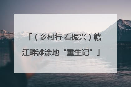 （乡村行·看振兴）赣江畔滩涂地“重生记”