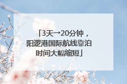 3天→20分钟，阳逻港国际航线靠泊时间大幅缩短