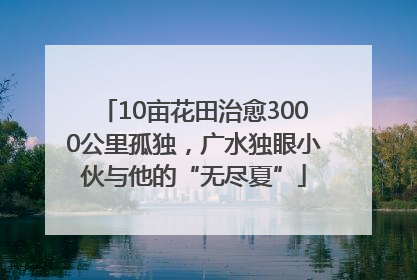 10亩花田治愈3000公里孤独，广水独眼小伙与他的“无尽夏”