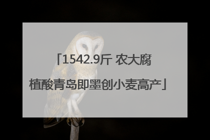 1542.9斤 农大腐植酸青岛即墨创小麦高产
