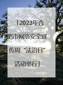 2023年合肥市网络安全宣传周“法治日”活动举行
