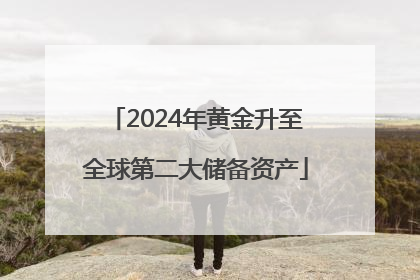 2024年黄金升至全球第二大储备资产