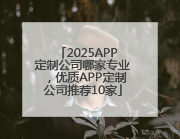 2025APP定制公司哪家专业，优质APP定制公司推荐10家