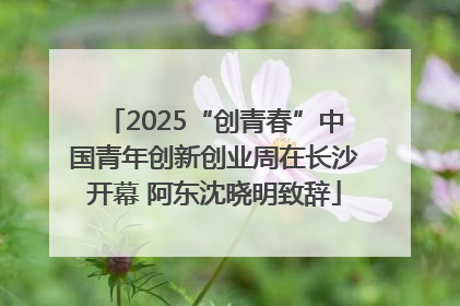 2025“创青春”中国青年创新创业周在长沙开幕 阿东沈晓明致辞