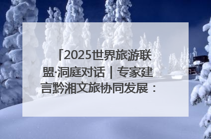 2025世界旅游联盟·洞庭对话｜专家建言黔湘文旅协同发展：聚焦产品稀缺性 深化区域经验共享