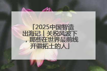 2025中国智造出海记丨关税风波下，那些在世界最前线开疆拓土的人