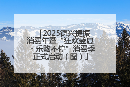2025德兴提振消费年暨“狂欢盛夏・乐购不停”消费季正式启动（图）
