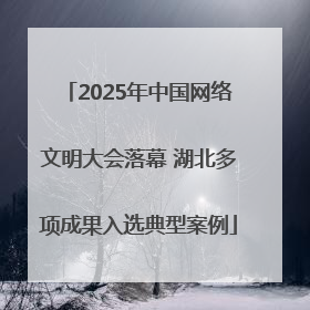 2025年中国网络文明大会落幕 湖北多项成果入选典型案例
