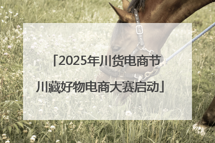 2025年川货电商节川藏好物电商大赛启动