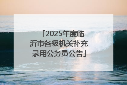 2025年度临沂市各级机关补充录用公务员公告