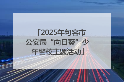 2025年句容市公安局“向日葵”少年警校主题活动