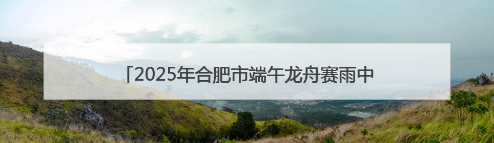 2025年合肥市端午龙舟赛雨中开赛 29支龙舟队龙舞少荃湖