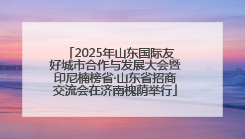 2025年山东国际友好城市合作与发展大会暨印尼楠榜省·山东省招商交流会在济南槐荫举行