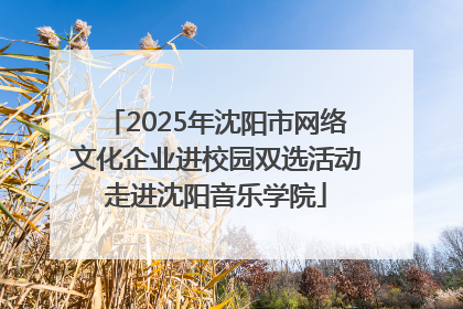 2025年沈阳市网络文化企业进校园双选活动走进沈阳音乐学院