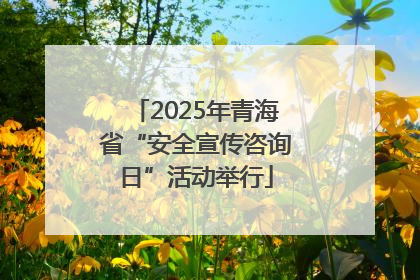 2025年青海省“安全宣传咨询日”活动举行