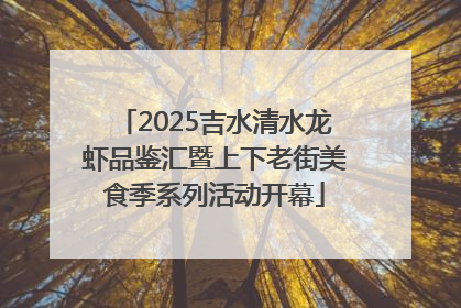 2025吉水清水龙虾品鉴汇暨上下老街美食季系列活动开幕