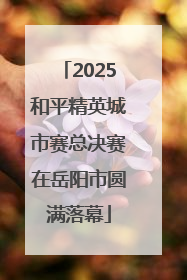 2025和平精英城市赛总决赛在岳阳市圆满落幕