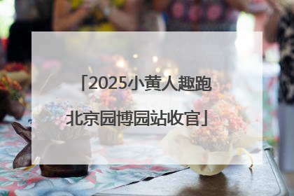 2025小黄人趣跑北京园博园站收官