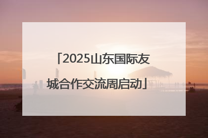 2025山东国际友城合作交流周启动