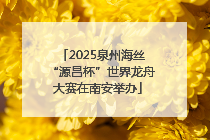 2025泉州海丝“源昌杯”世界龙舟大赛在南安举办