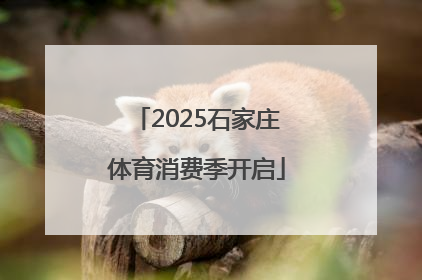 2025石家庄体育消费季开启