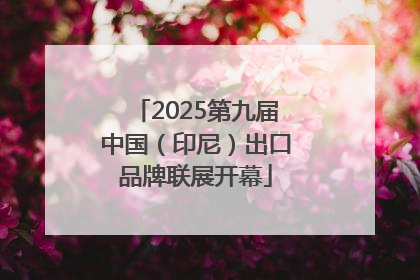 2025第九届中国（印尼）出口品牌联展开幕