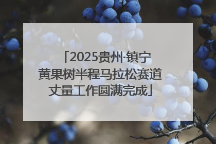 2025贵州·镇宁黄果树半程马拉松赛道丈量工作圆满完成