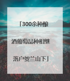 300余种酿酒葡萄品种相继落户贺兰山下
