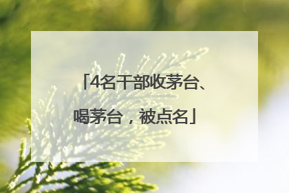 4名干部收茅台、喝茅台，被点名