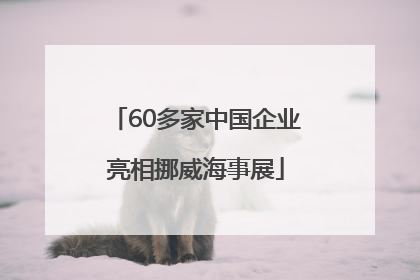 60多家中国企业亮相挪威海事展