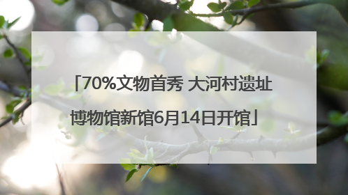 70%文物首秀 大河村遗址博物馆新馆6月14日开馆
