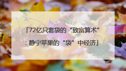 72亿只套袋的“致富算术”：静宁苹果的“袋”中经济